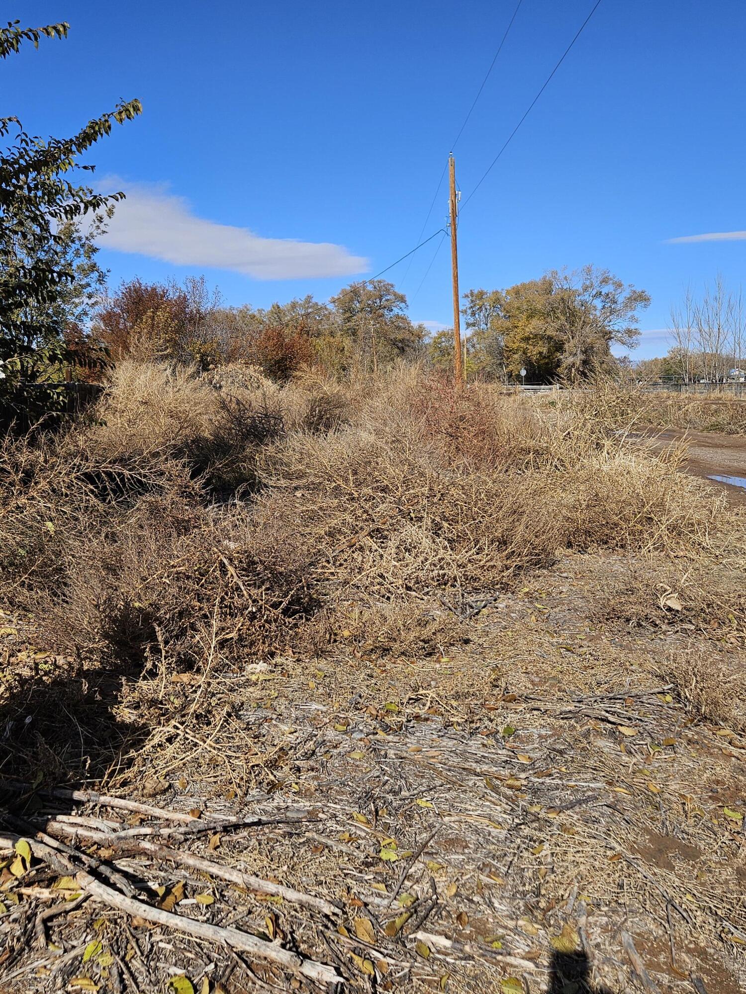 64 Padilla Road, Belen, New Mexico image 3