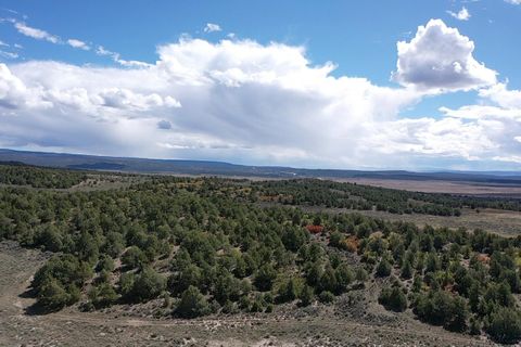 Vacant Land For Sale - S And W Ranch<br/> Tierra Amarilla, NM 87575