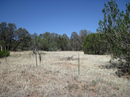 152 JESSE JAMES RD, EDGEWOOD, NM 87015 - Image 2a3c7828117a7221fc64eab8ea820bb0/3578041910