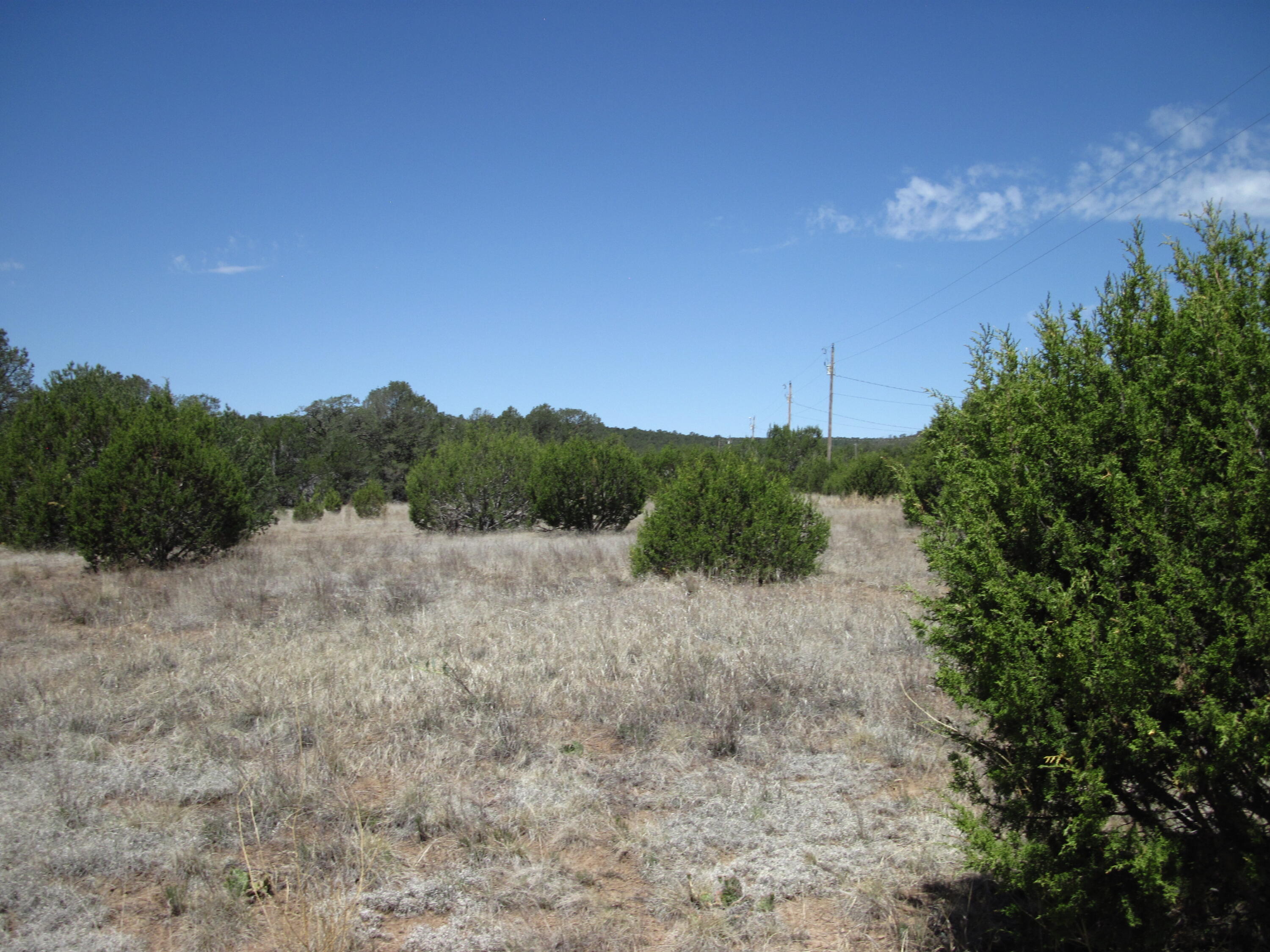 152 Jesse James Road