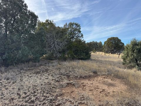 Photo of 82 Caldelaria Road, Tijeras, NM 87059 (MLS # 1096343)
