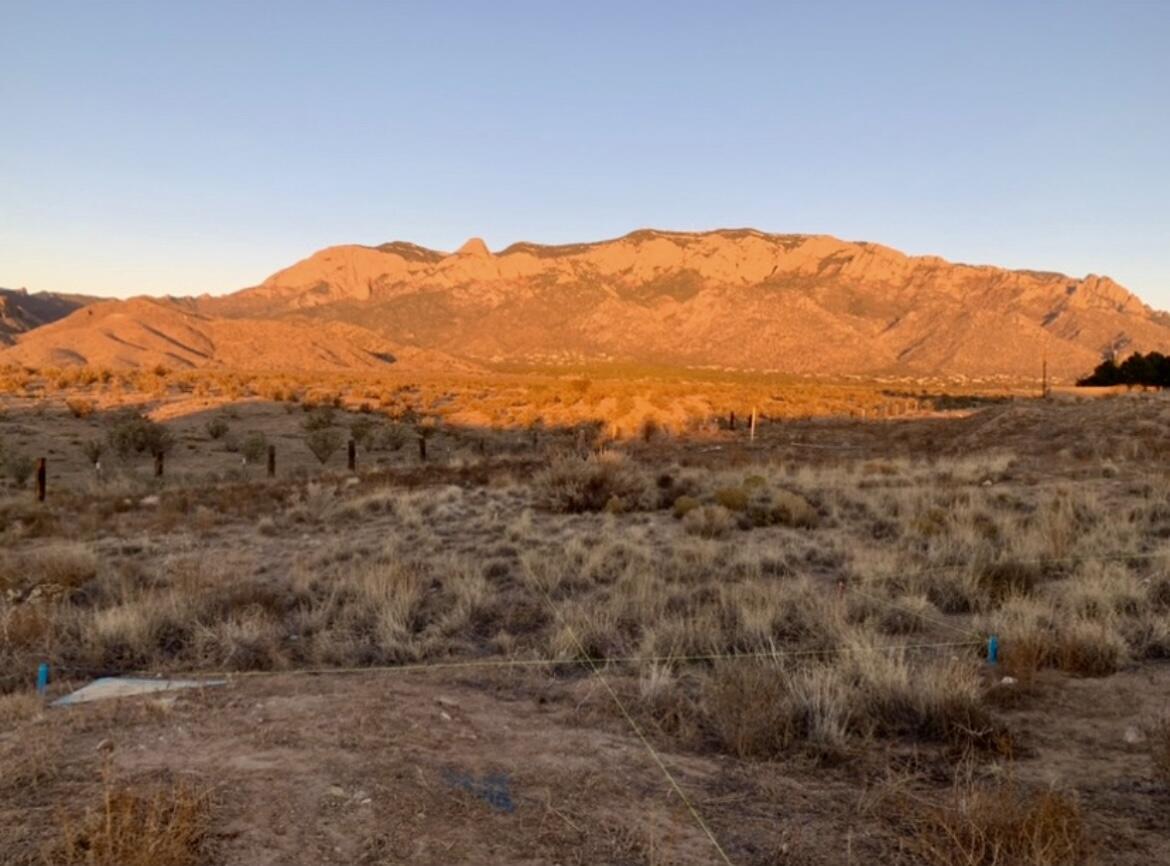 9404 Pamela Marie Way