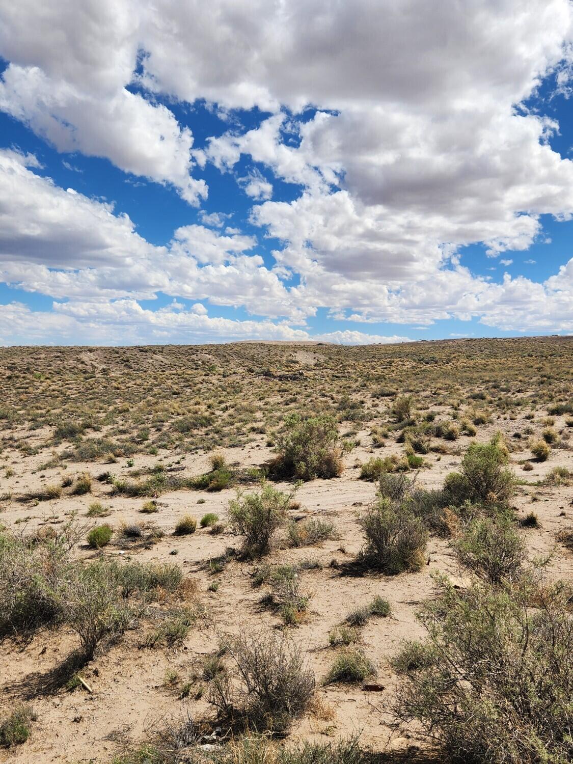 On Pajarito (DFW) Road SW