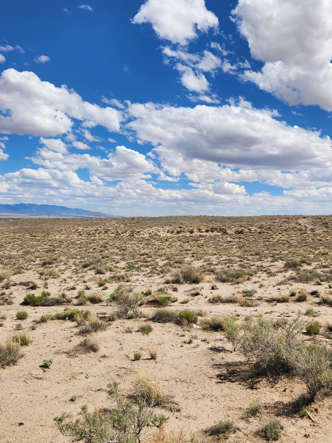 On Pajarito (DFW) Road SW