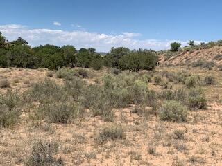 Sally Fb Lane, Algodones, New Mexico image 18