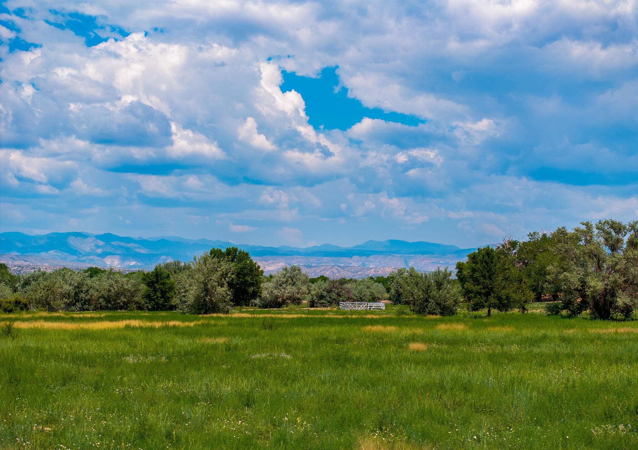 6 Sparkling Moolah, Pena Blanca, New Mexico image 9