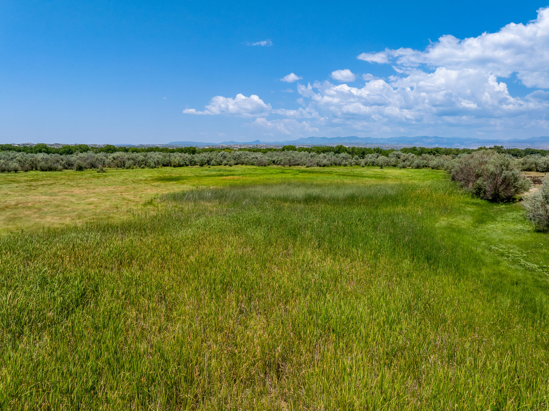 6 Sparkling Moolah, Pena Blanca, New Mexico image 10