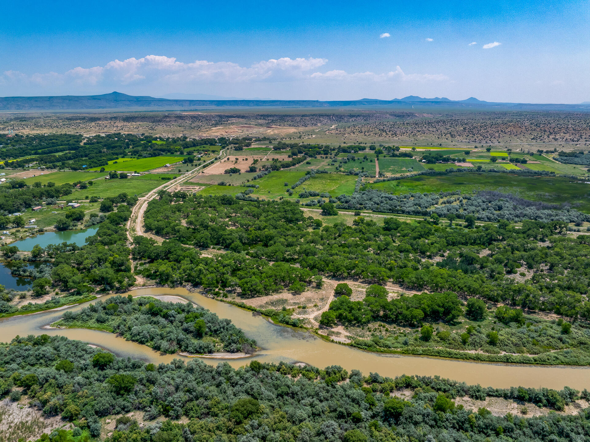 6 Sparkling Moolah, Pena Blanca, New Mexico image 19