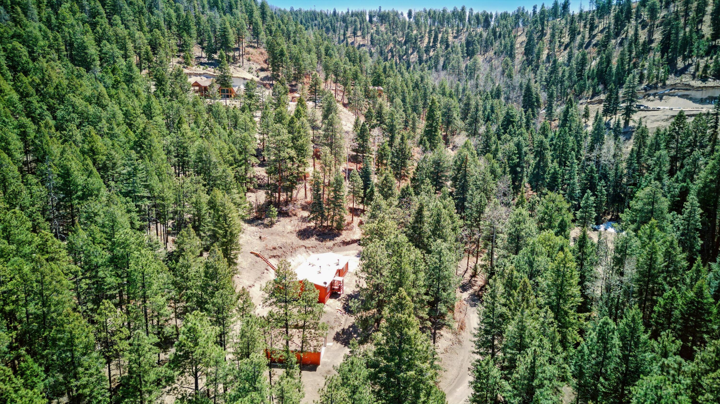 1112 Los Griegos Road, Jemez Springs, New Mexico image 47