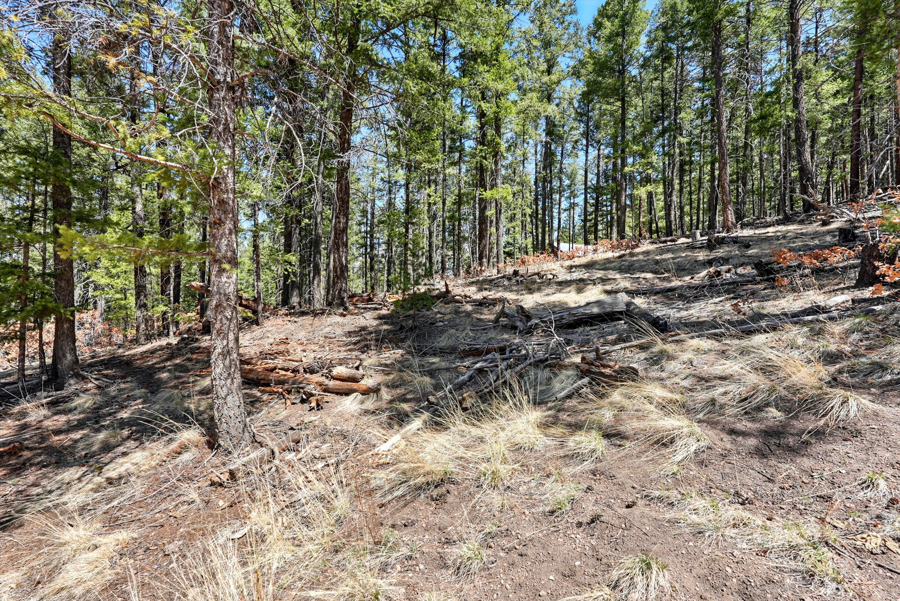 1112 Los Griegos Road, Jemez Springs, New Mexico image 39