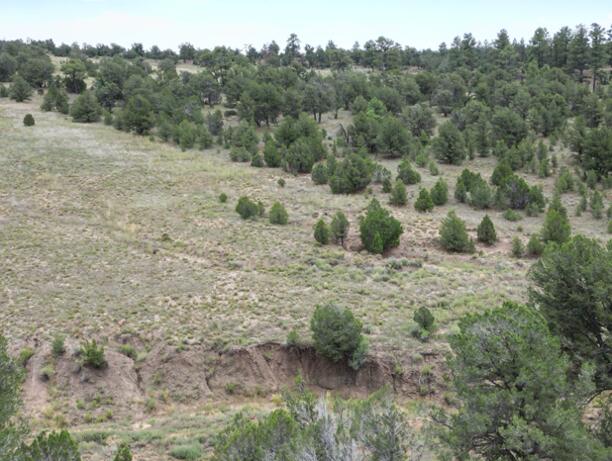 Lot 6 Horseshoe Loop, Ramah, New Mexico image 3