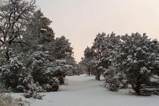 Lot 6 Horseshoe Loop, Ramah, New Mexico image 9