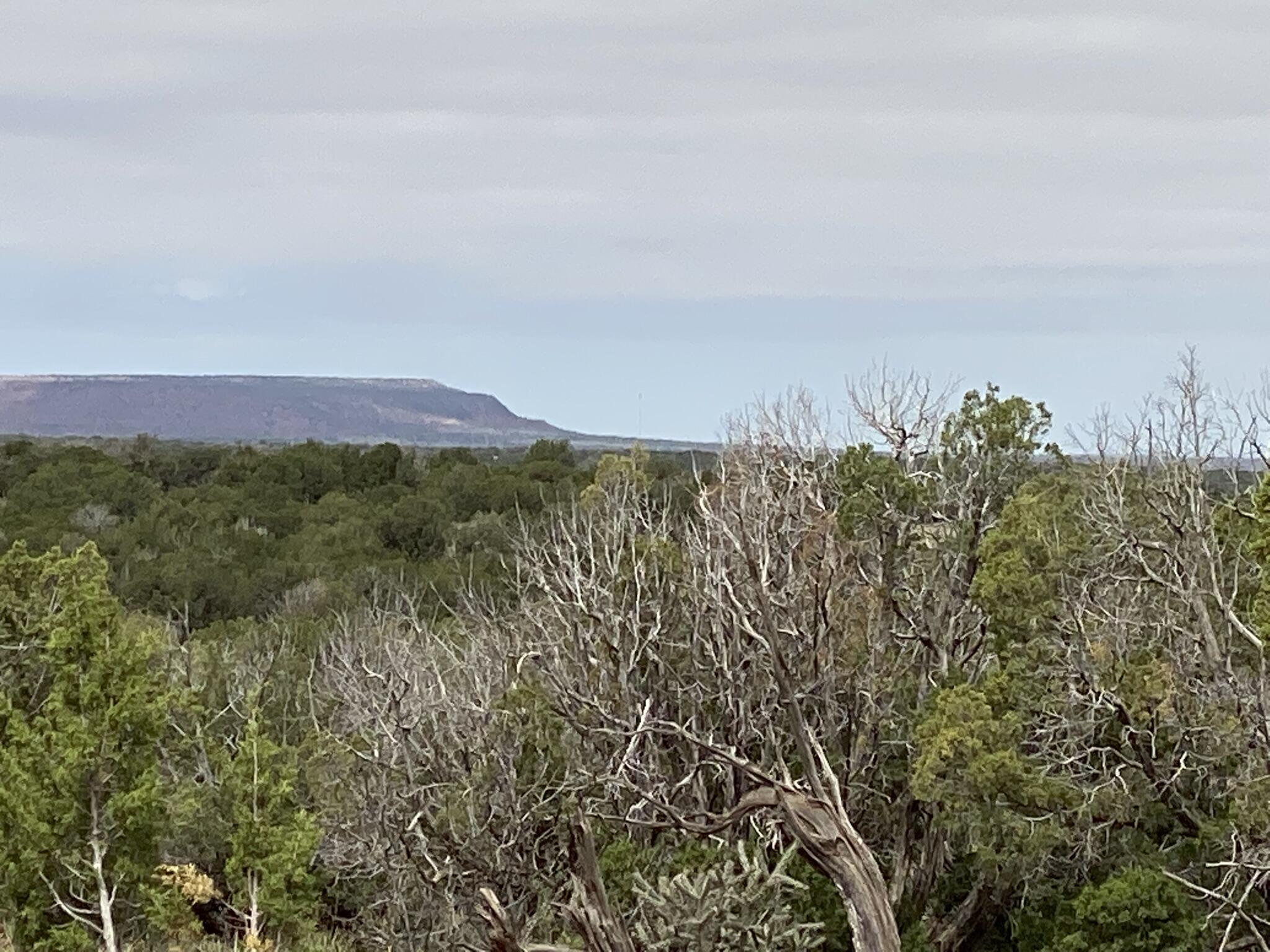 10 Bull Canyon Loop, Newkirk, New Mexico image 1
