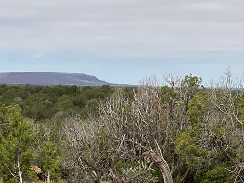 Vacant Land For Sale - 10 Bull Canyon Loop<br/> Guadalupe County, Newkirk, NM 88431