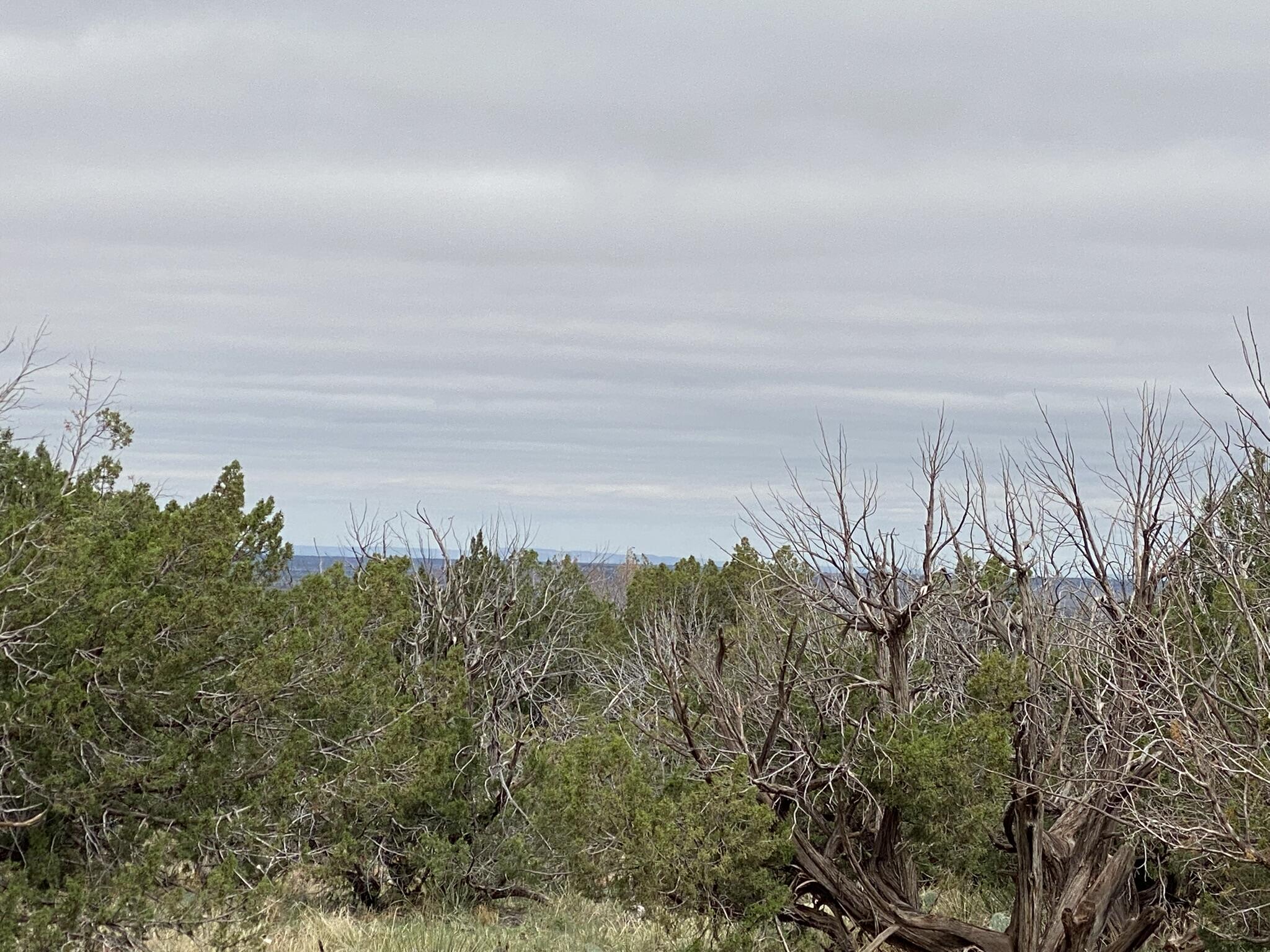 10 Bull Canyon Loop, Newkirk, New Mexico image 2