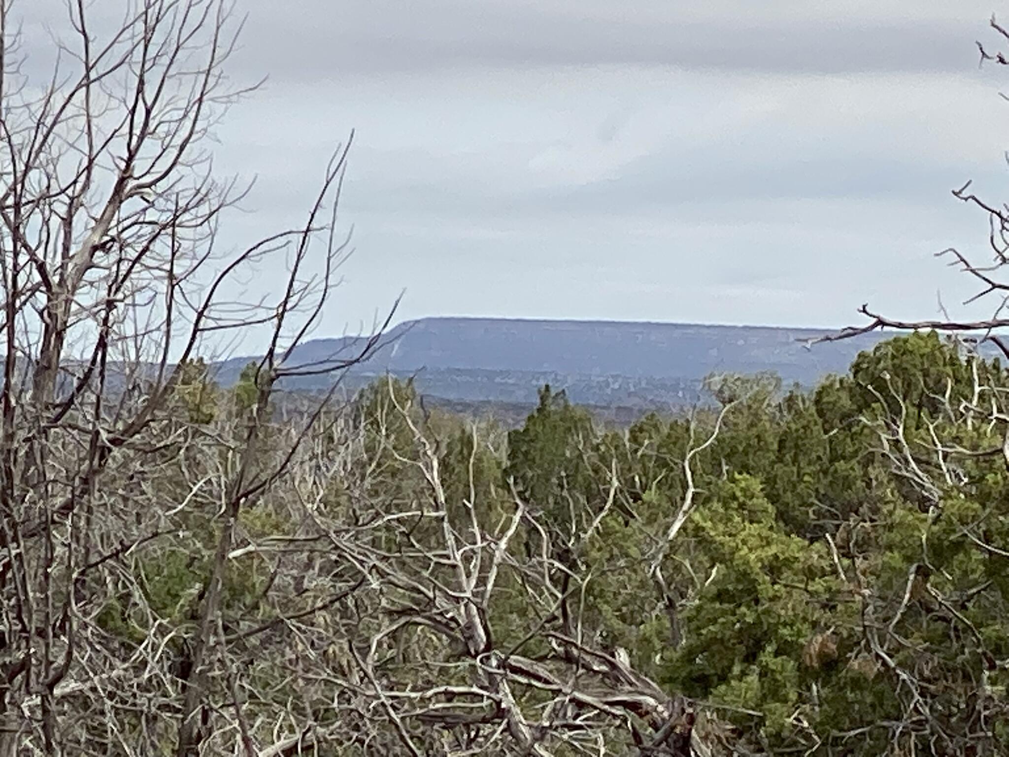10 Bull Canyon Loop, Newkirk, New Mexico image 6