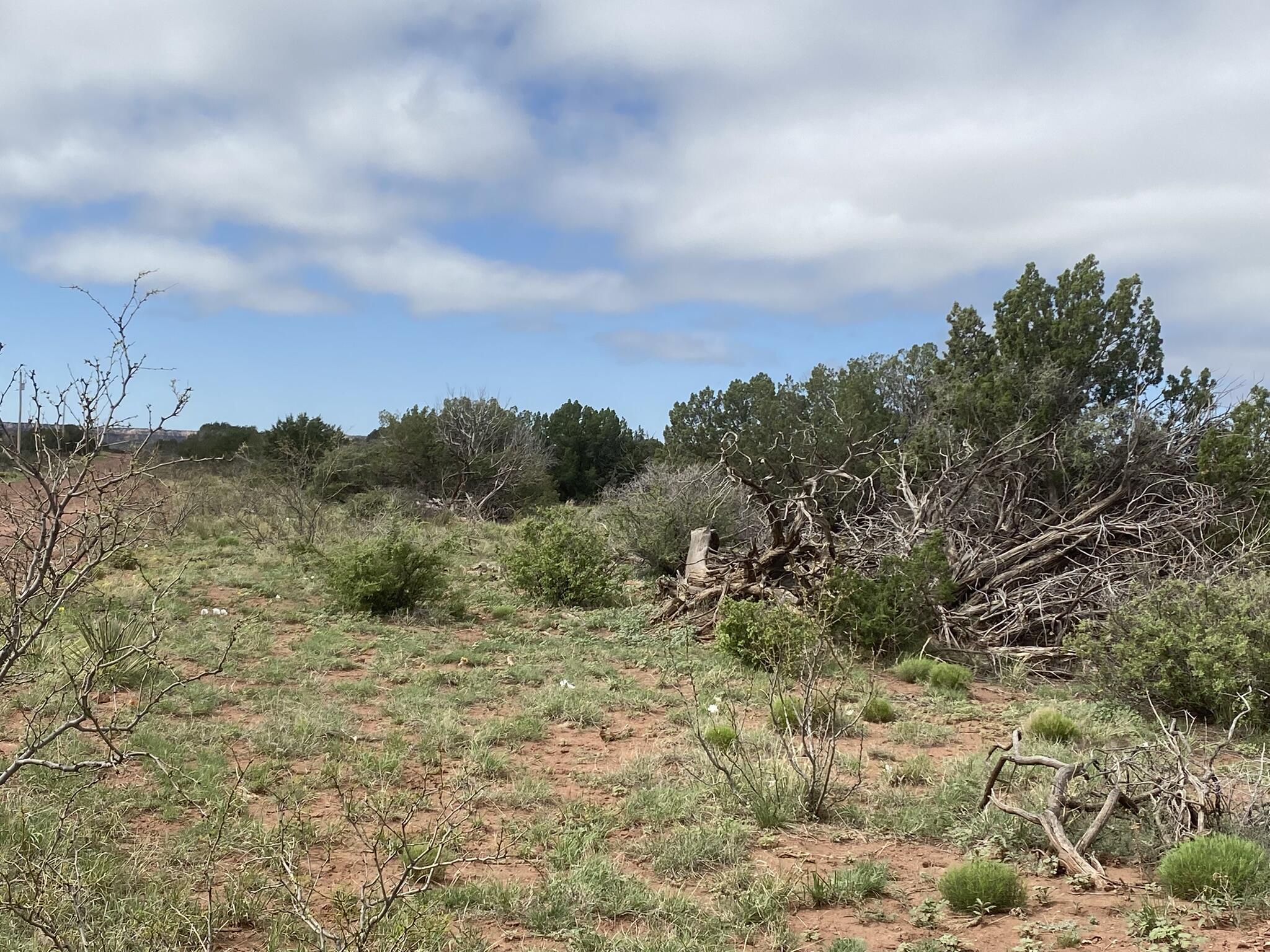 10 Bull Canyon Loop, Newkirk, New Mexico image 3