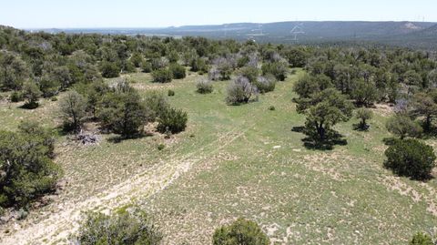 Vacant Land For Sale - LOT 16 Swayback Trail<br/> Corona, NM 88318