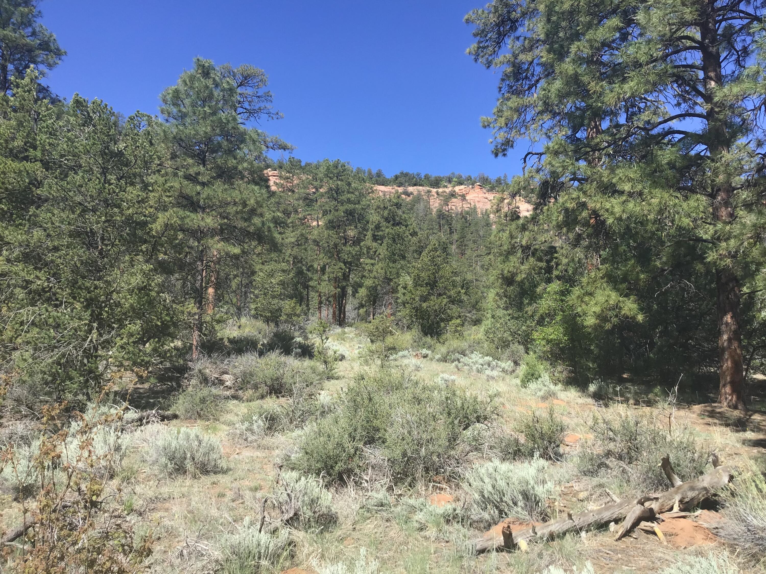 Lot 33 Aspen Loop, Ramah, New Mexico image 21