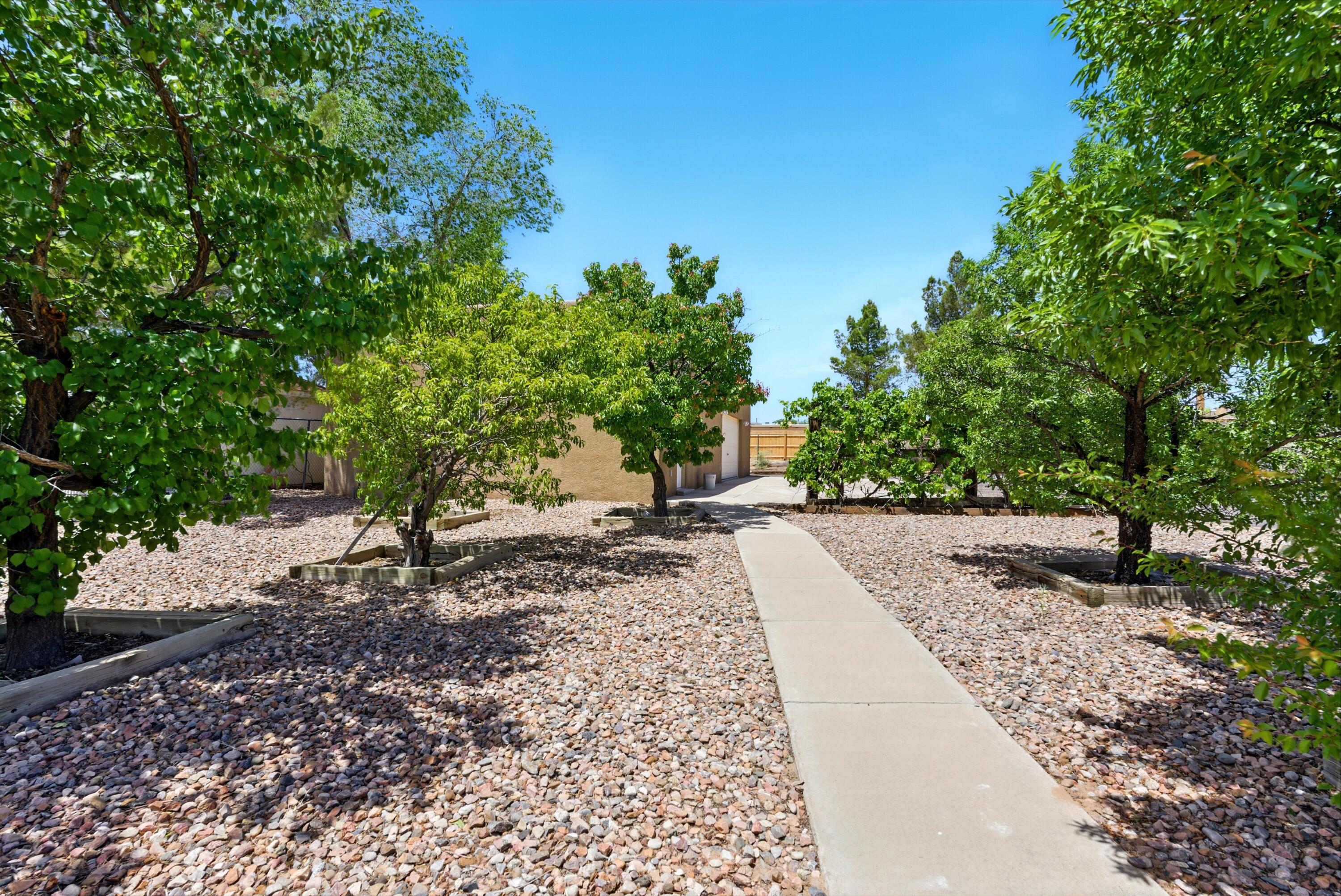 1513 33rd Circle, Rio Rancho, New Mexico image 37