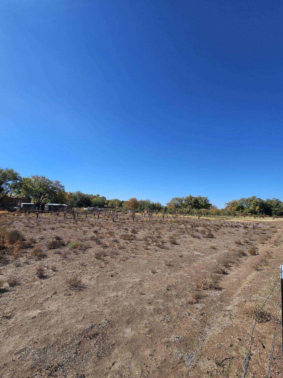 7 E Alary Lane, Corrales, New Mexico image 4