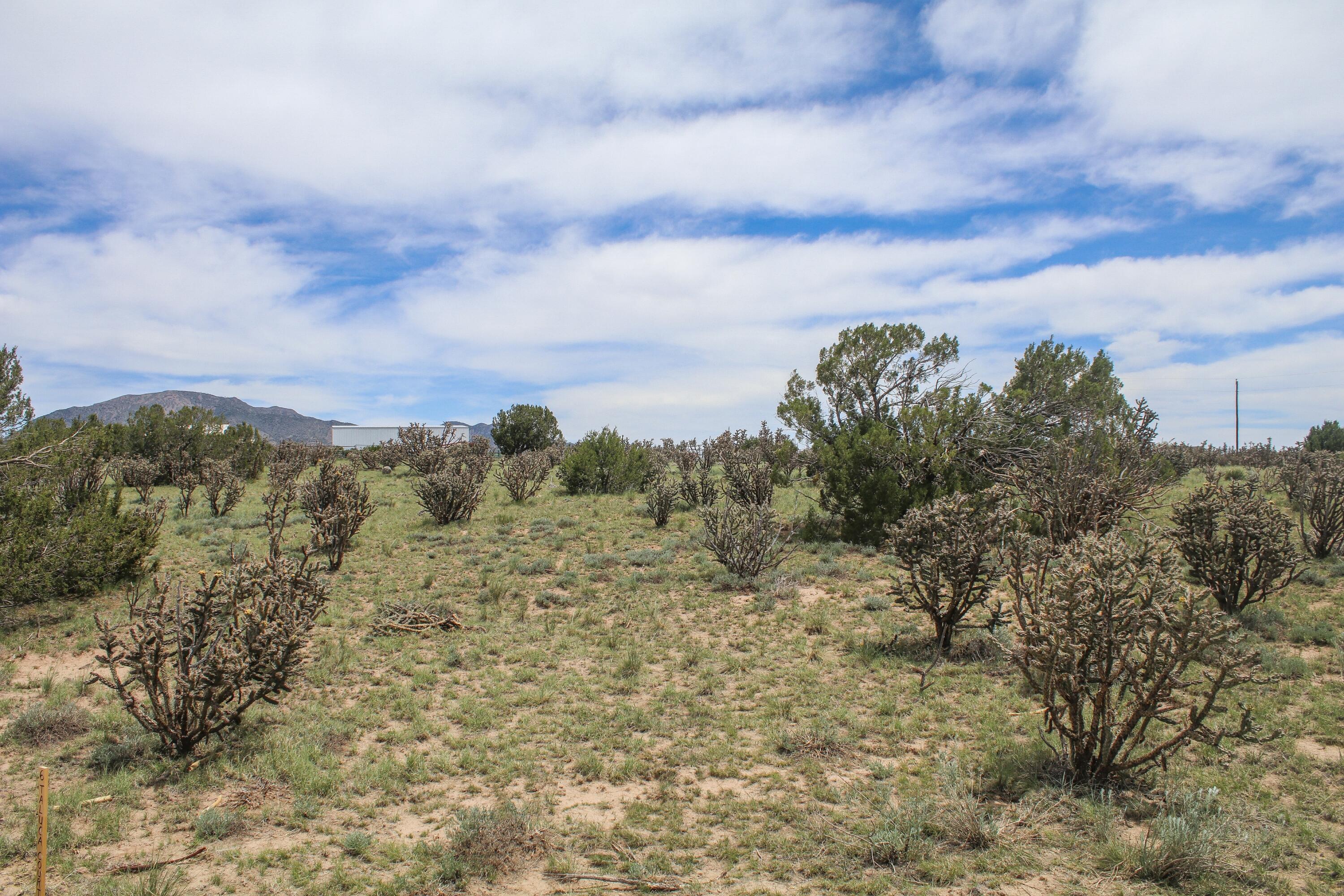6 Taluca Court, Edgewood, New Mexico image 2