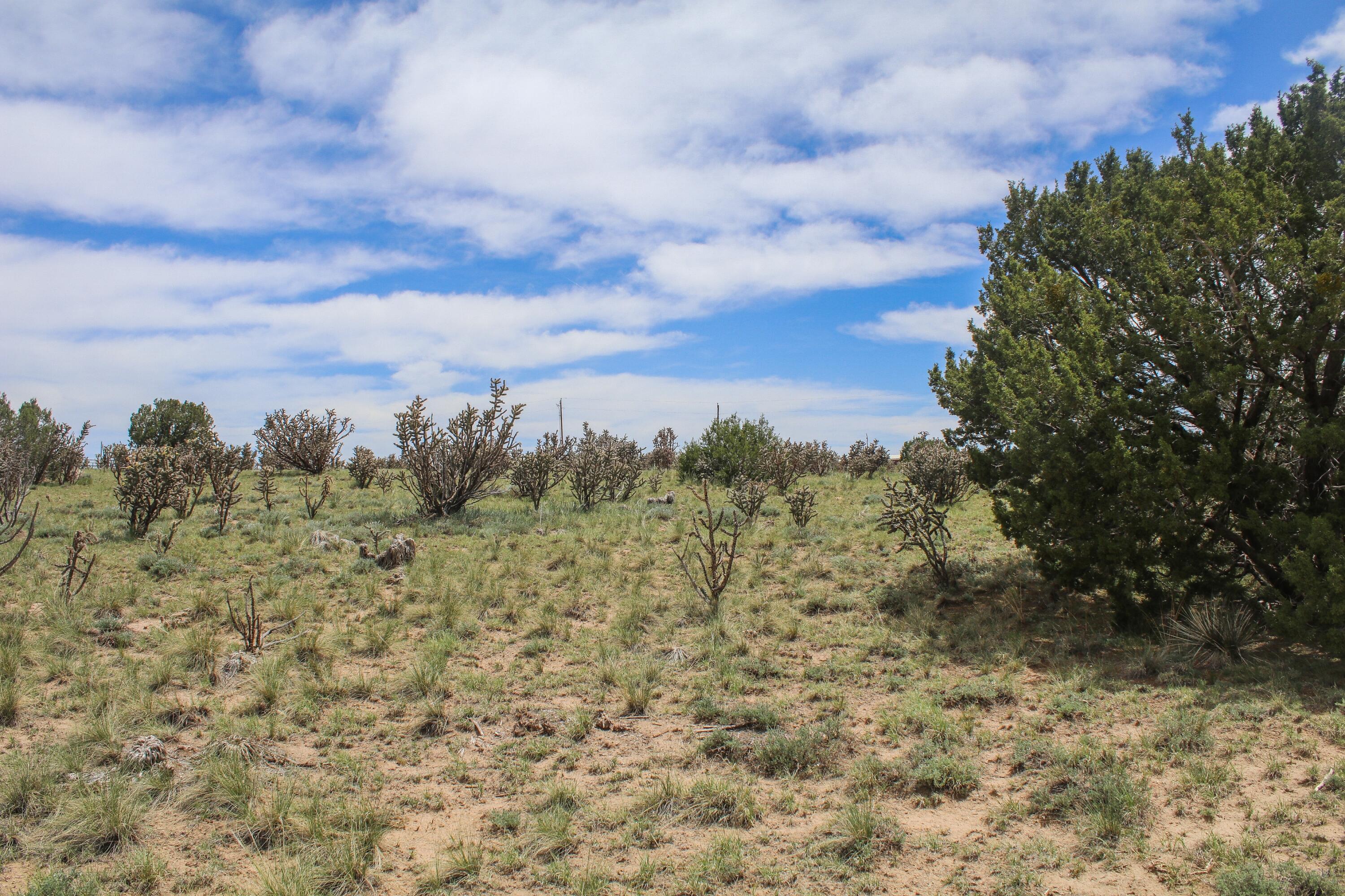 6 Taluca Court, Edgewood, New Mexico image 3