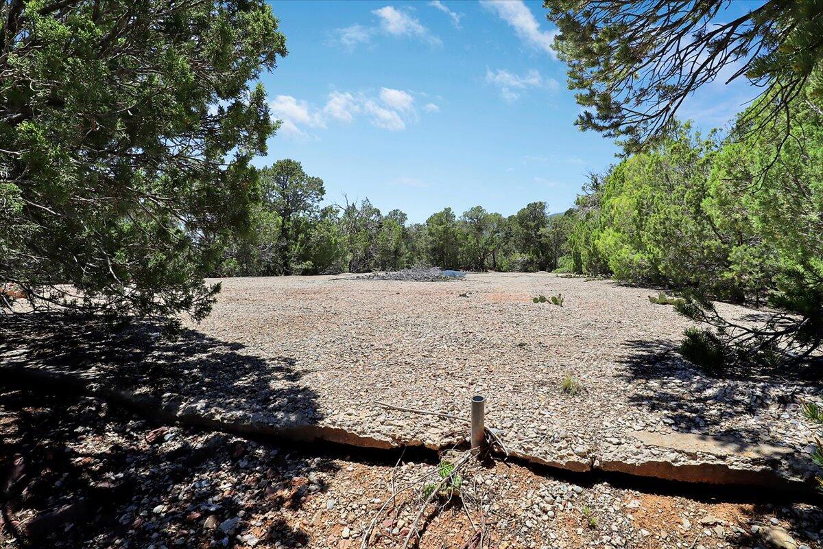 13 Pinon Ave Avenue, Cedar Crest, New Mexico image 14