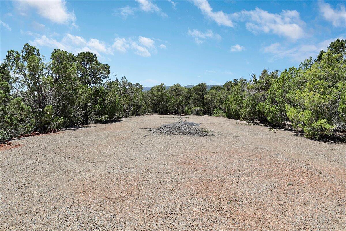 13 Pinon Ave Avenue, Cedar Crest, New Mexico image 15