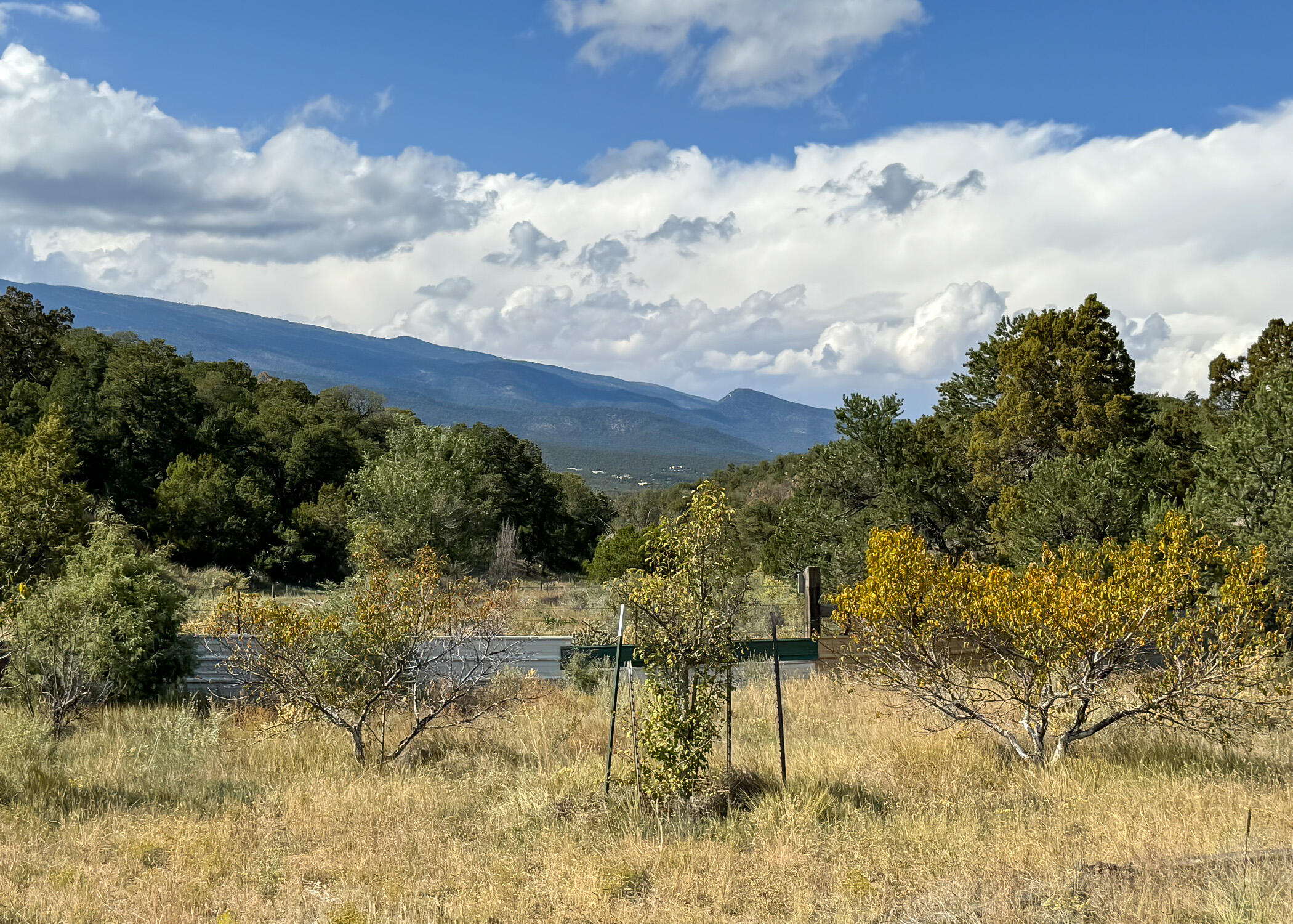 68 Canyon Road, Sandia Park, New Mexico image 3