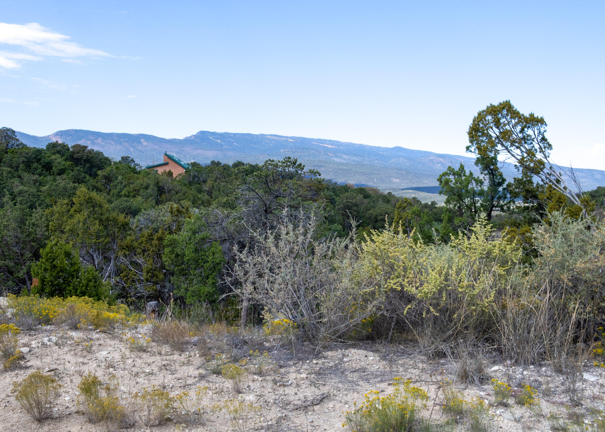 68 Canyon Road, Sandia Park, New Mexico image 2
