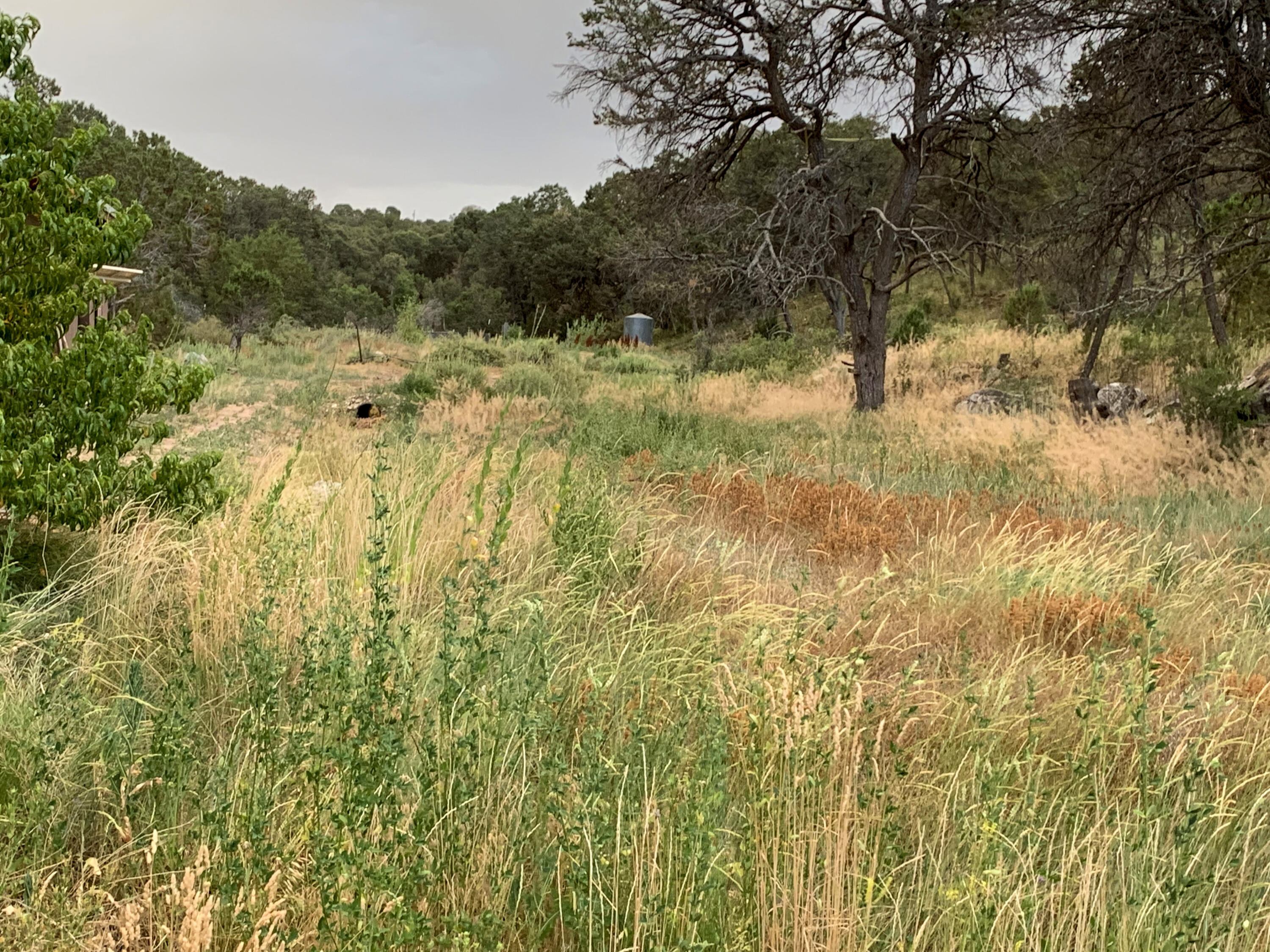68 Canyon Road, Sandia Park, New Mexico image 14