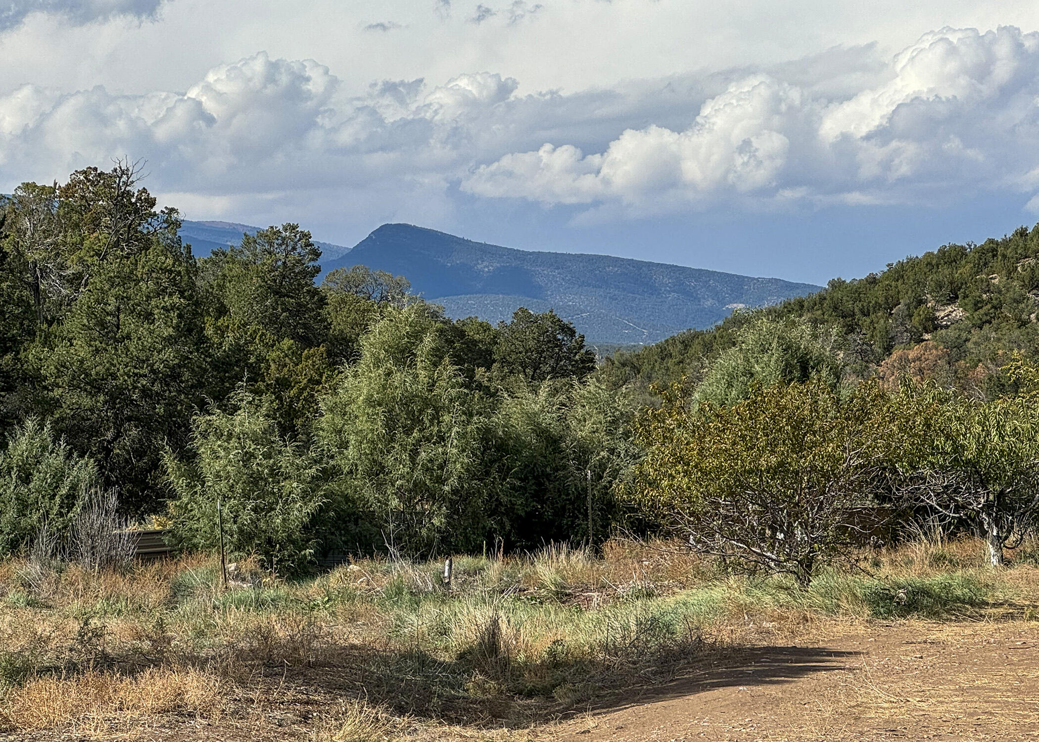 68 Canyon Road, Sandia Park, New Mexico image 1