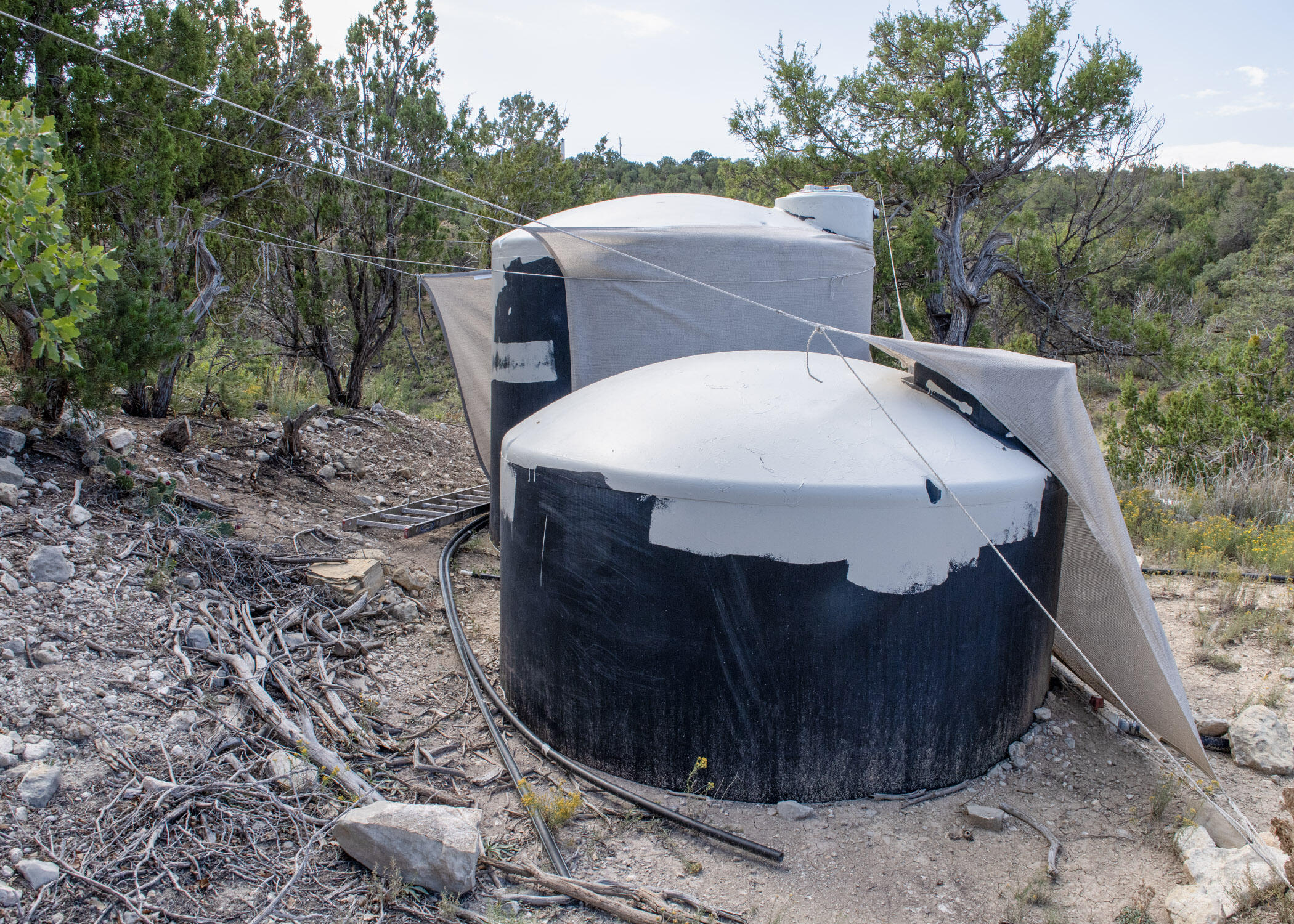 68 Canyon Road, Sandia Park, New Mexico image 8