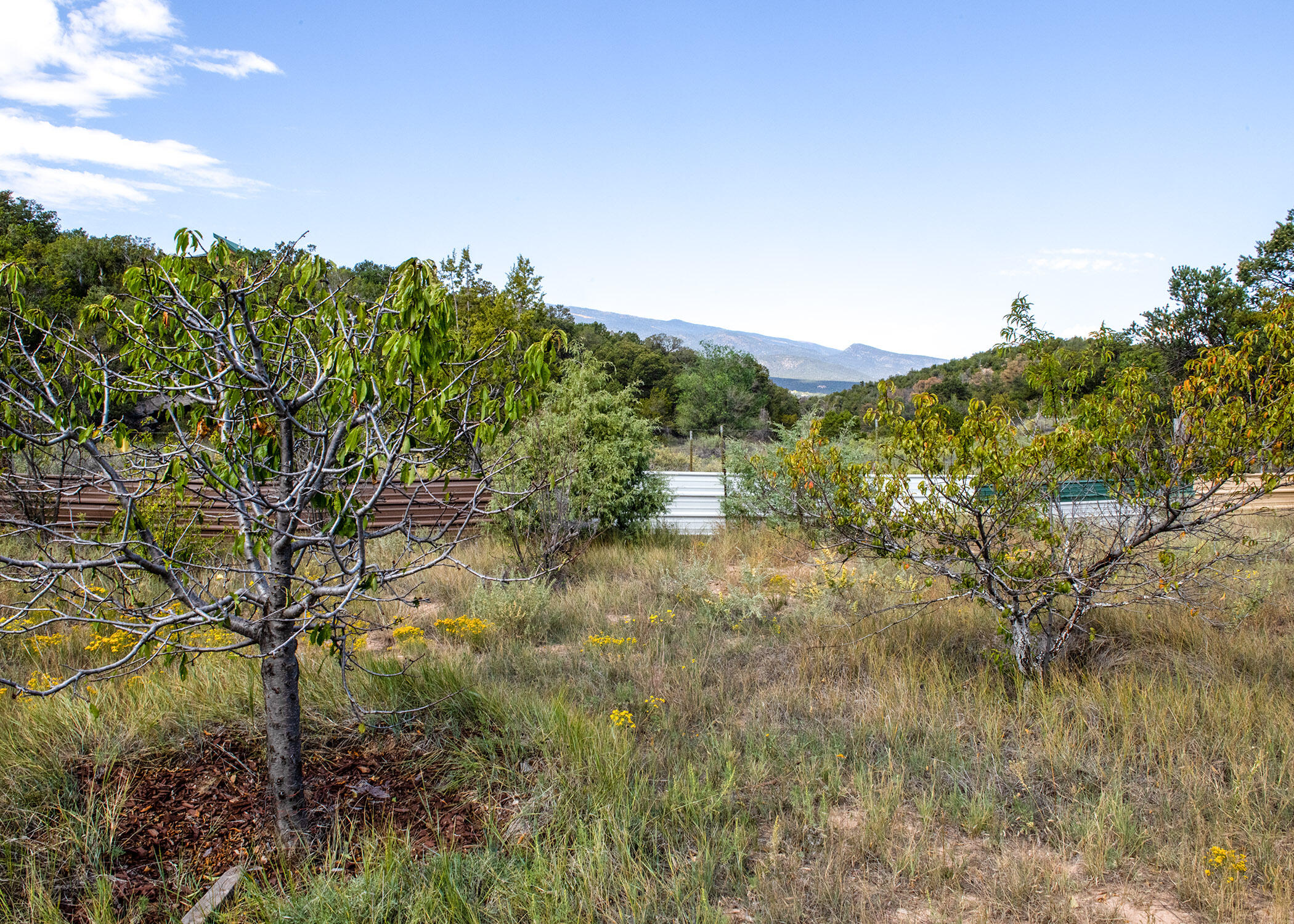 68 Canyon Road, Sandia Park, New Mexico image 10