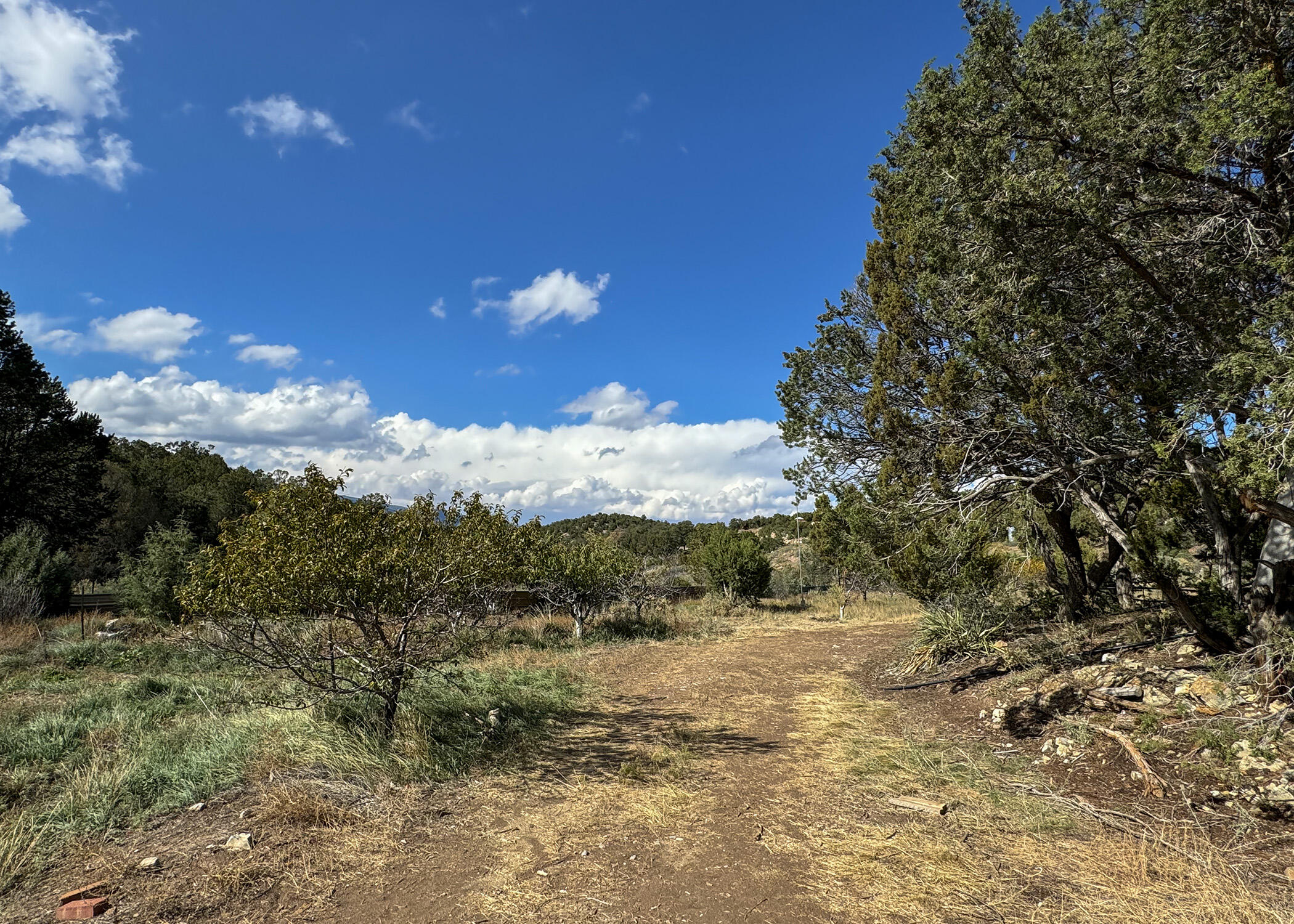 68 Canyon Road, Sandia Park, New Mexico image 16