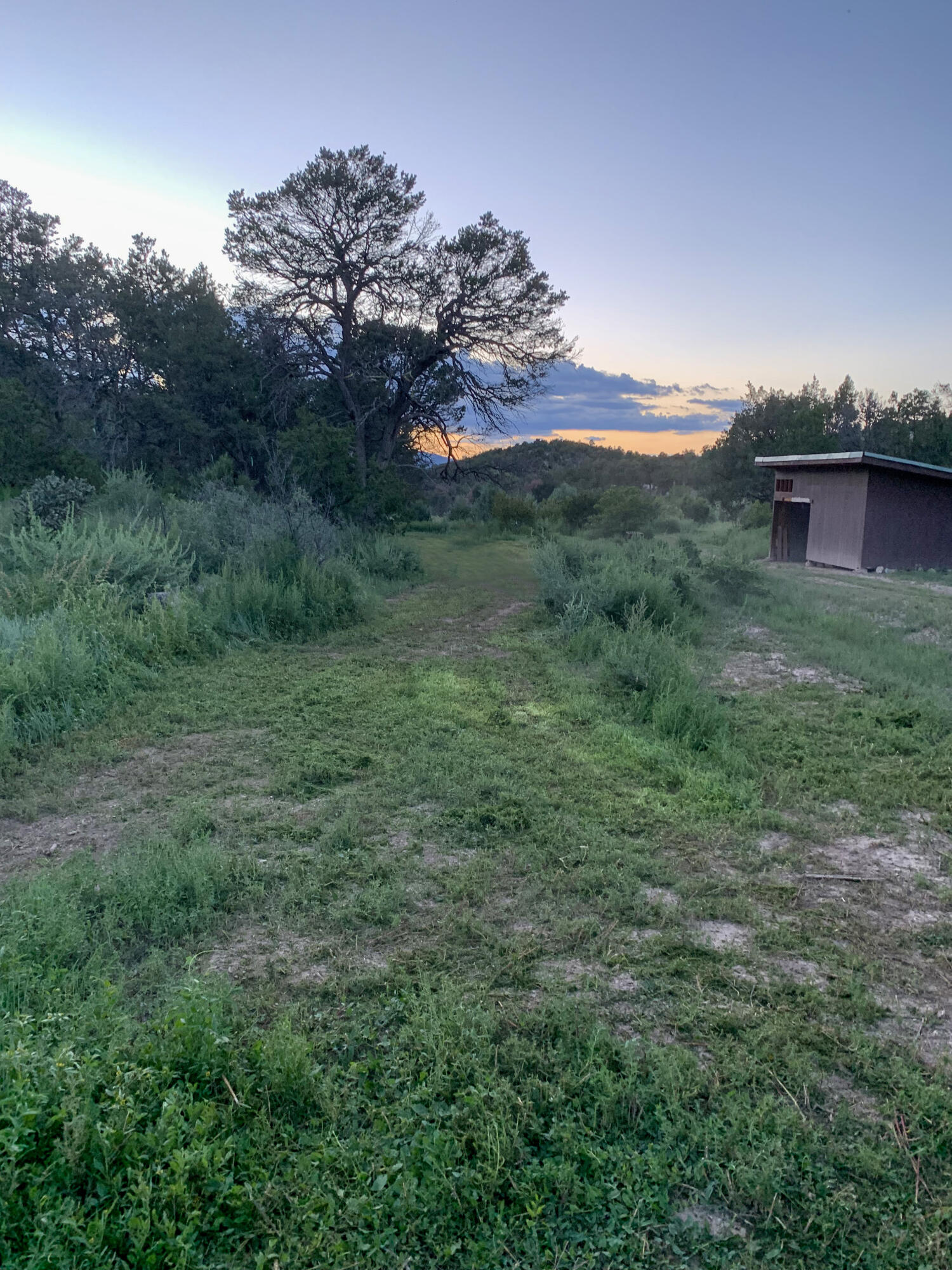 68 Canyon Road, Sandia Park, New Mexico image 12