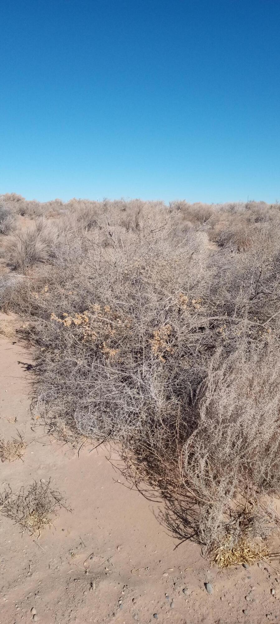 5721 Rio Arriba Road, Rio Rancho, New Mexico image 3