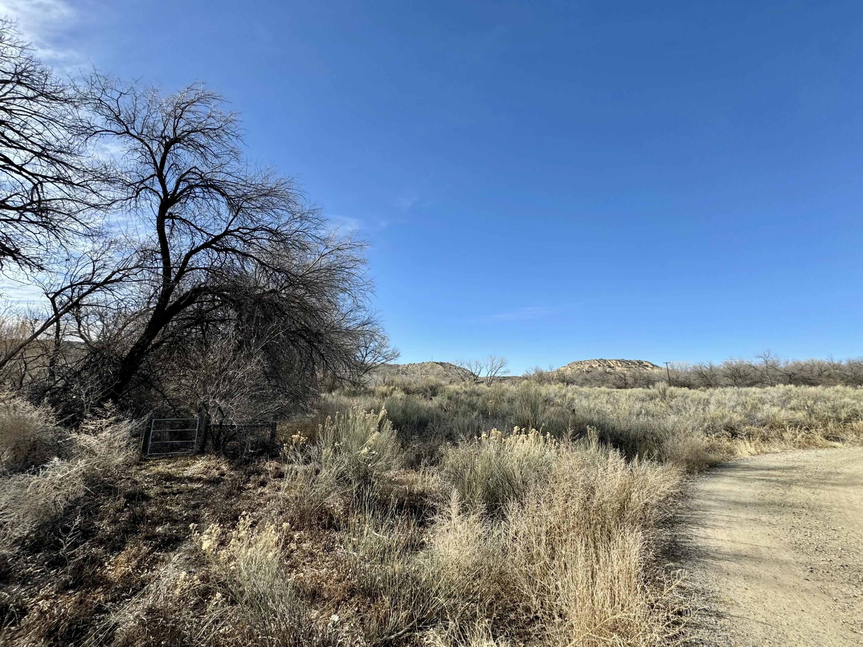 Rd 4464, Blanco, New Mexico image 1