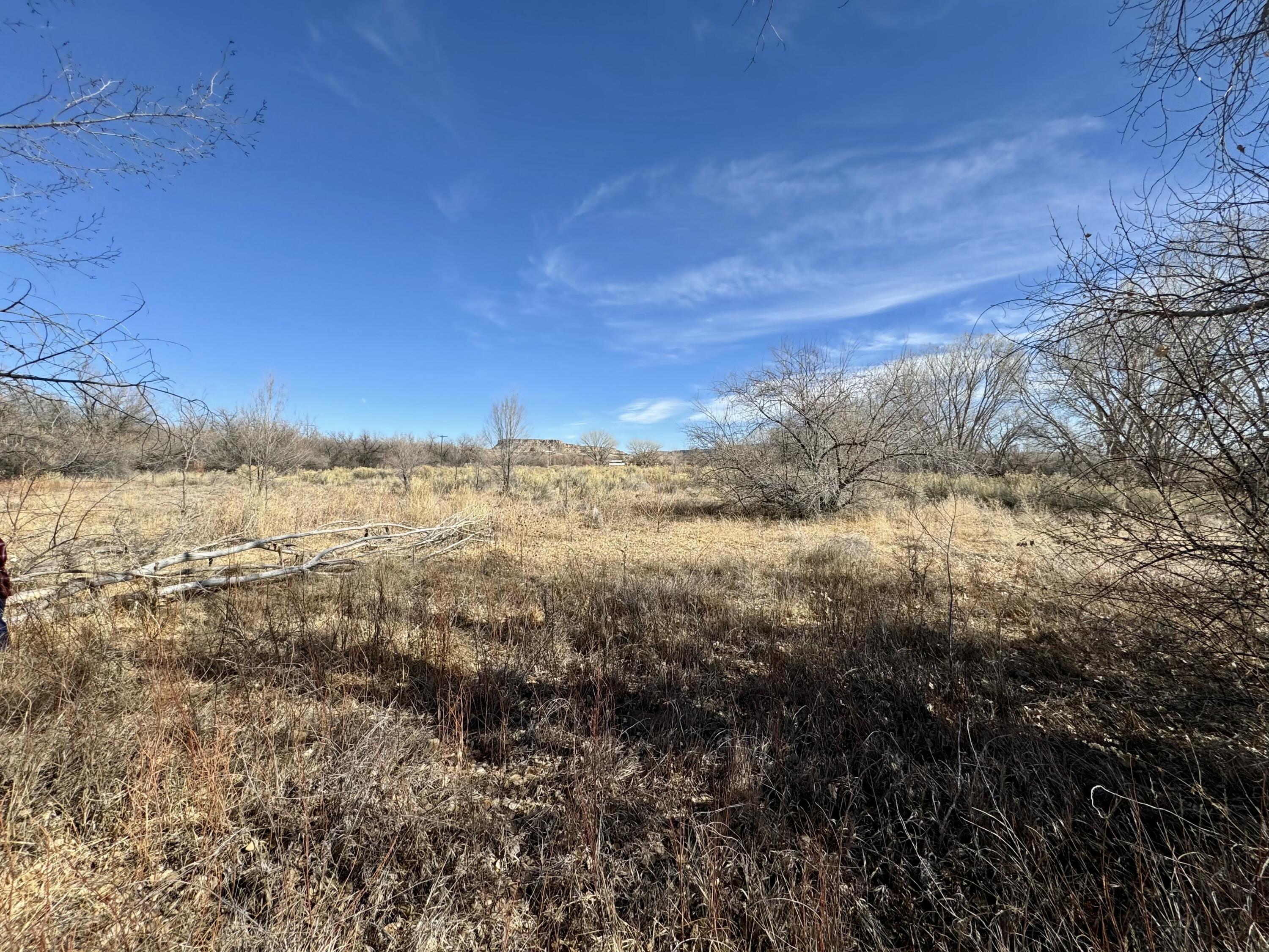 Rd 4464, Blanco, New Mexico image 6