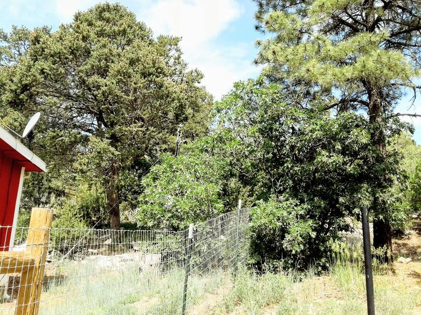 41 Little Dipper Road, Tijeras, New Mexico image 31