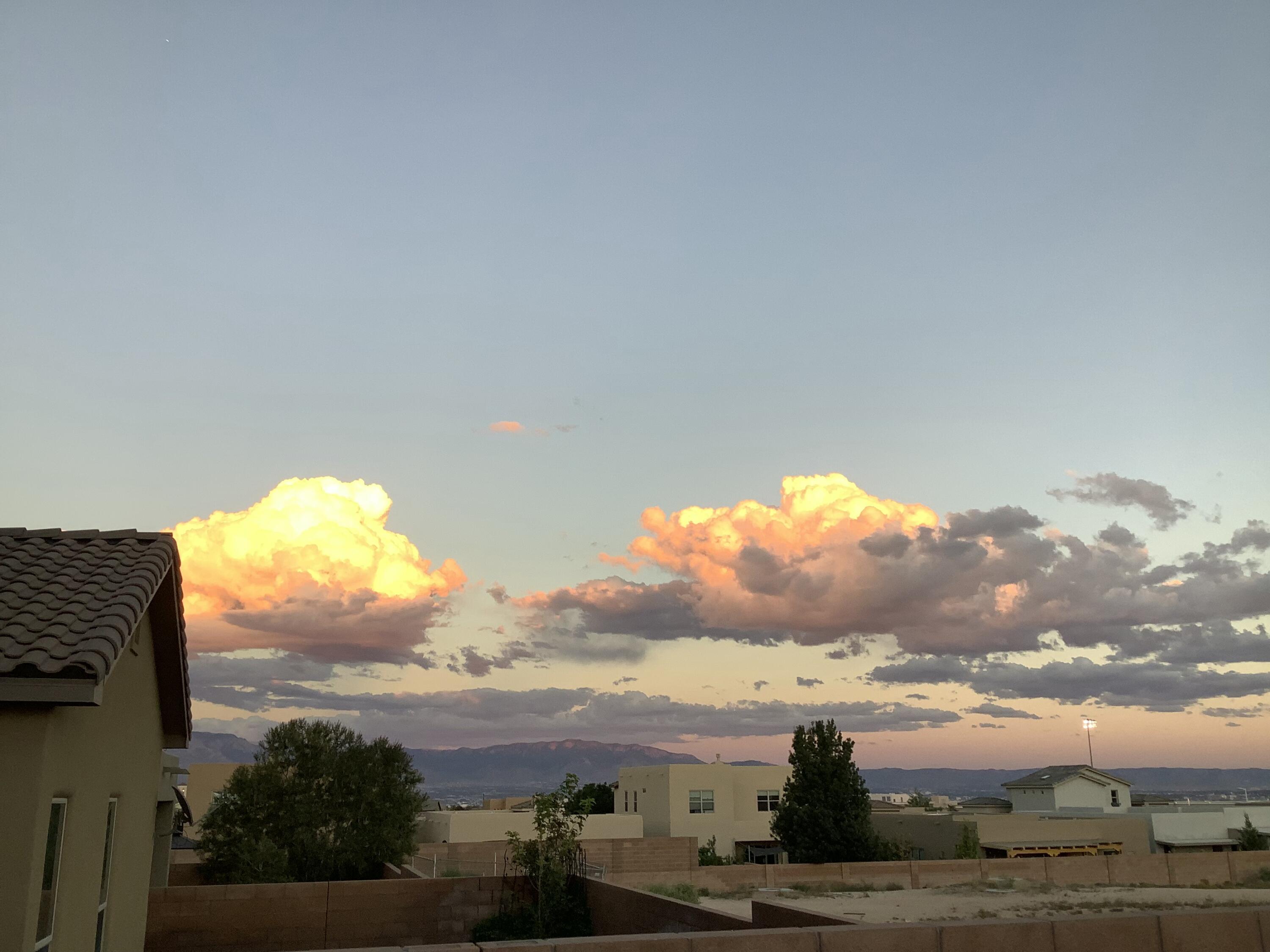 7408 Molas Road, Albuquerque, New Mexico image 23