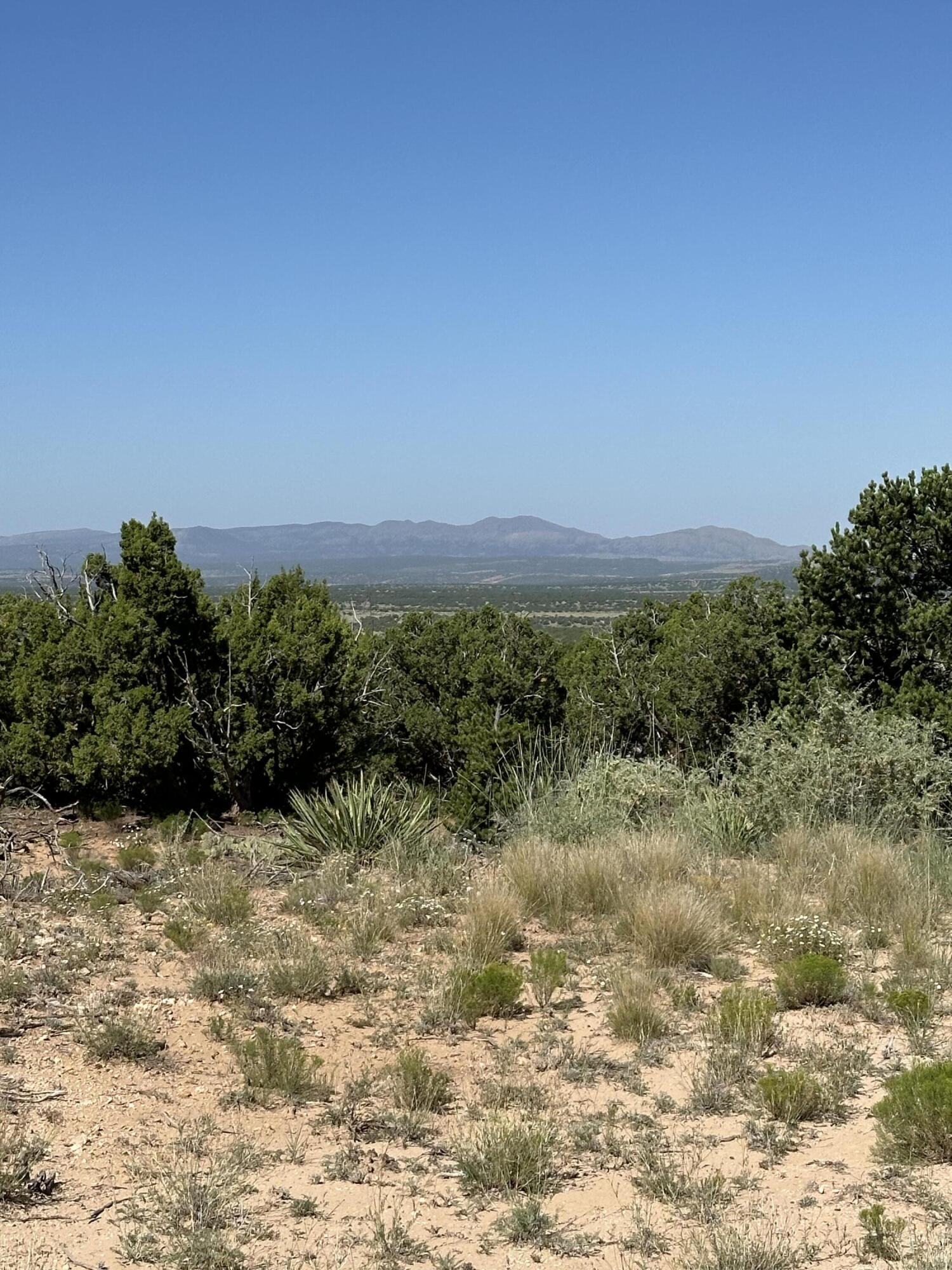 10 San Miguel Trail, Mountainair, New Mexico image 7