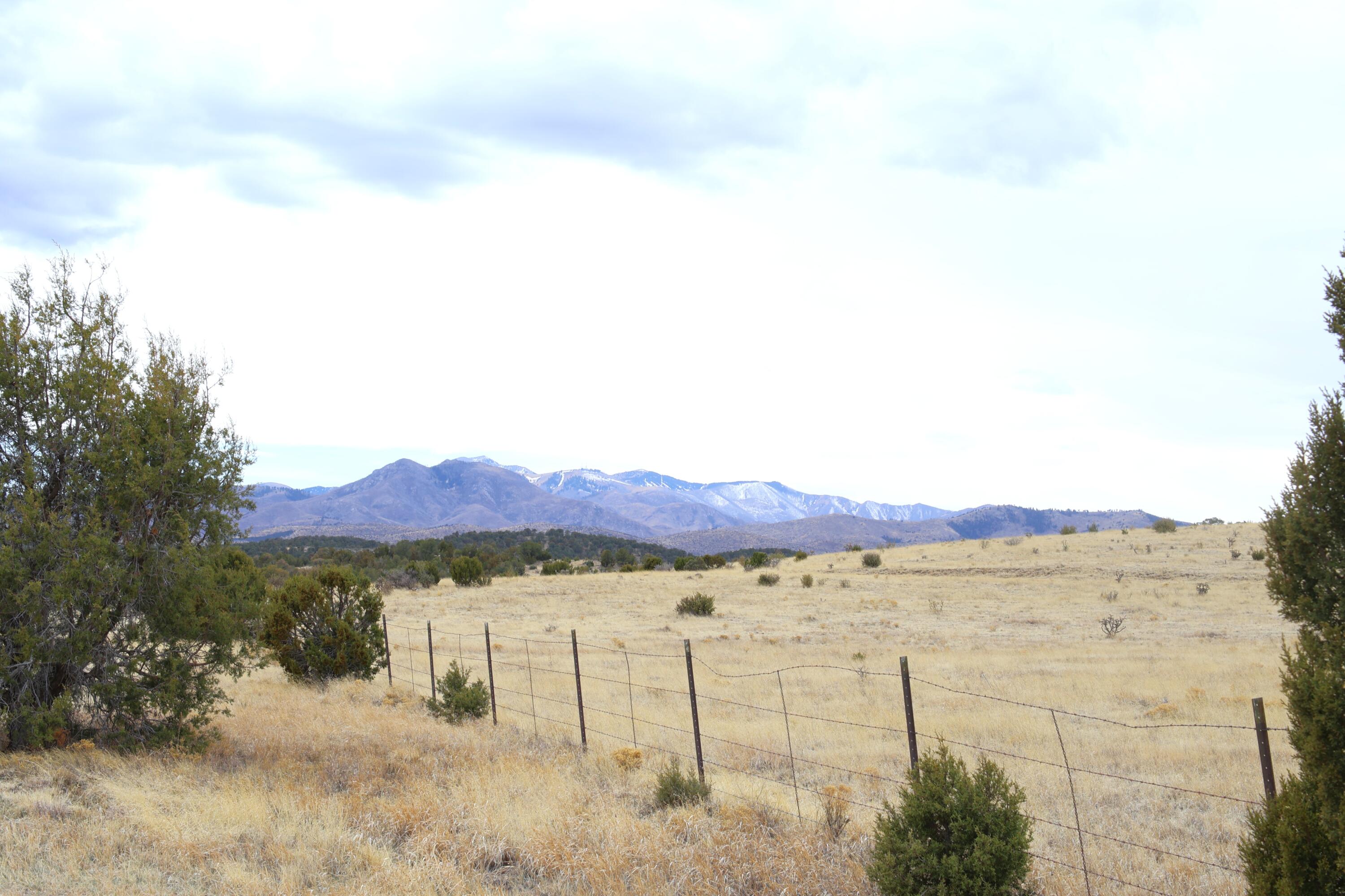 404 3rd Street, Capitan, New Mexico image 39
