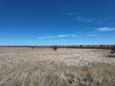 Tracts A/B Spencer Ranch Road