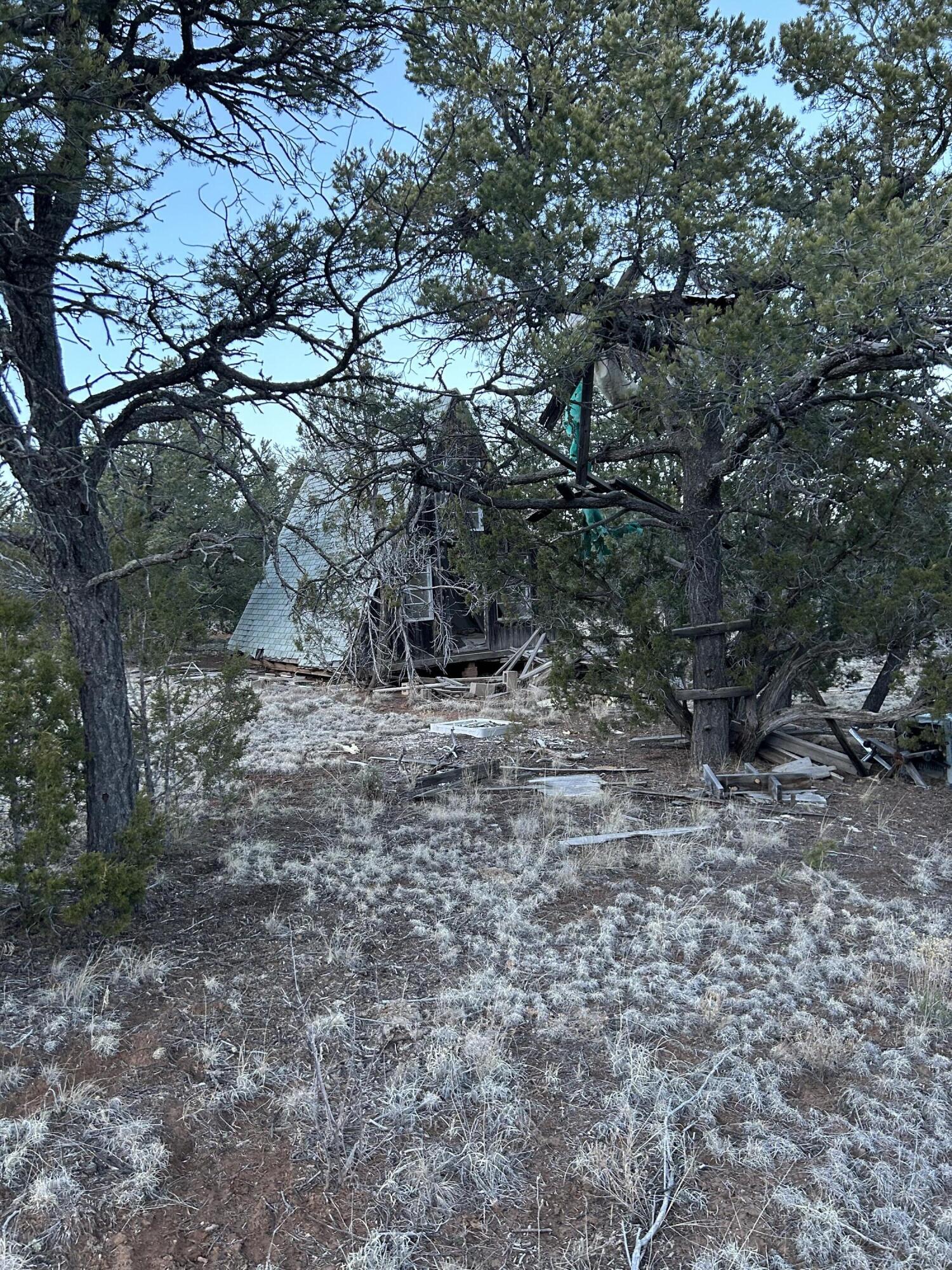 51 Mora Lane, Tijeras, New Mexico image 3