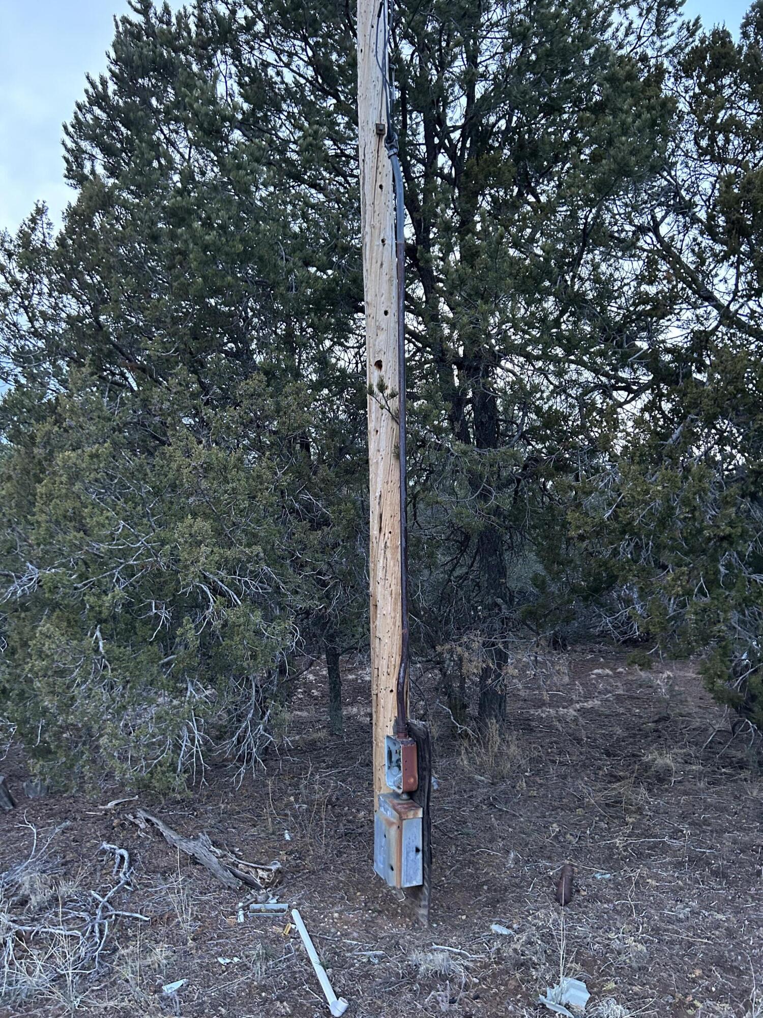 51 Mora Lane, Tijeras, New Mexico image 8