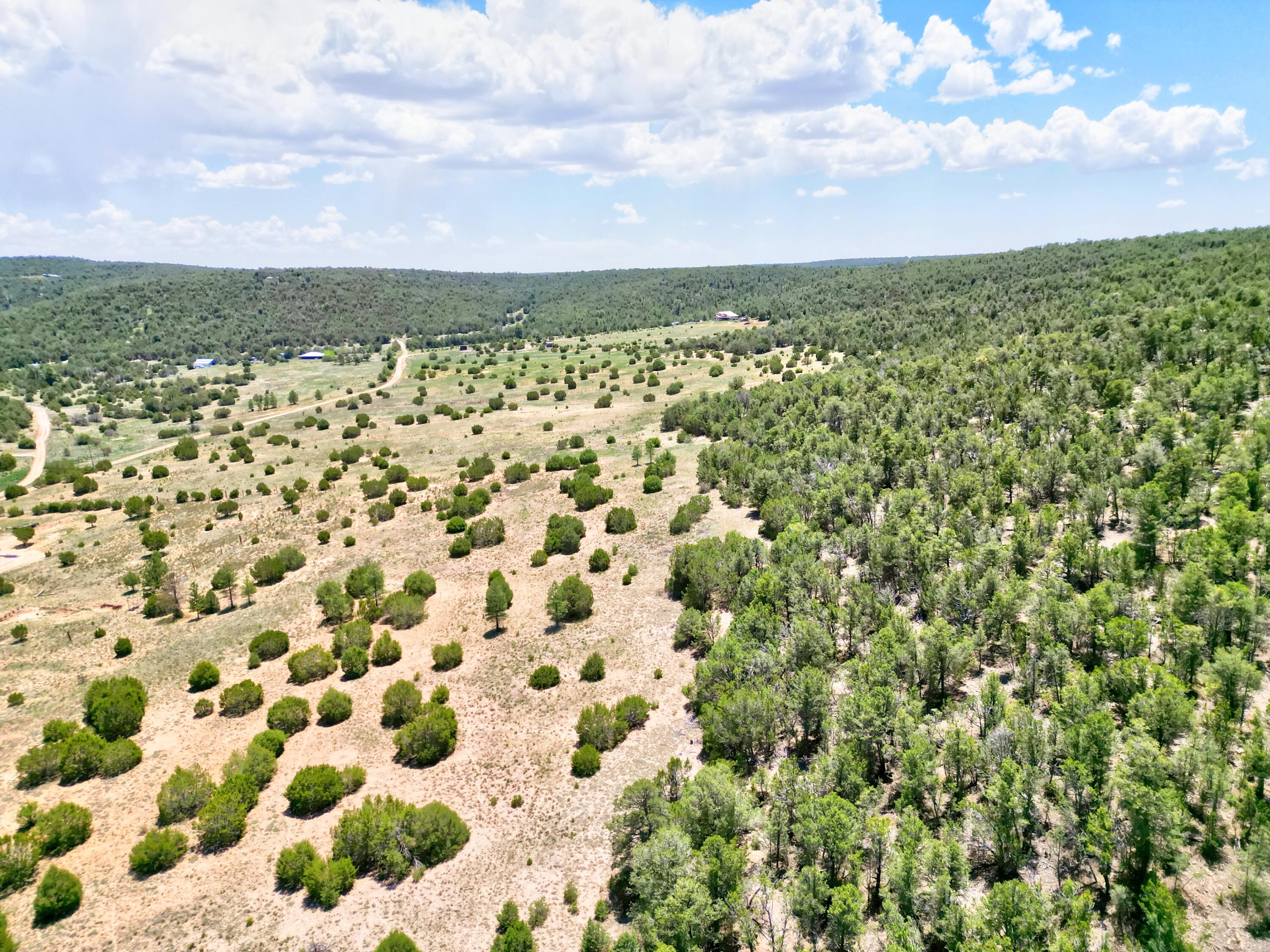 23 Daisy Cir, Edgewood, New Mexico image 37