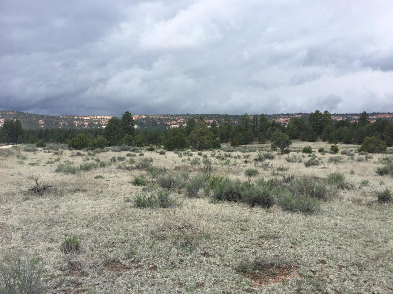 Lot 2 East Elk Road, Ramah, New Mexico image 28