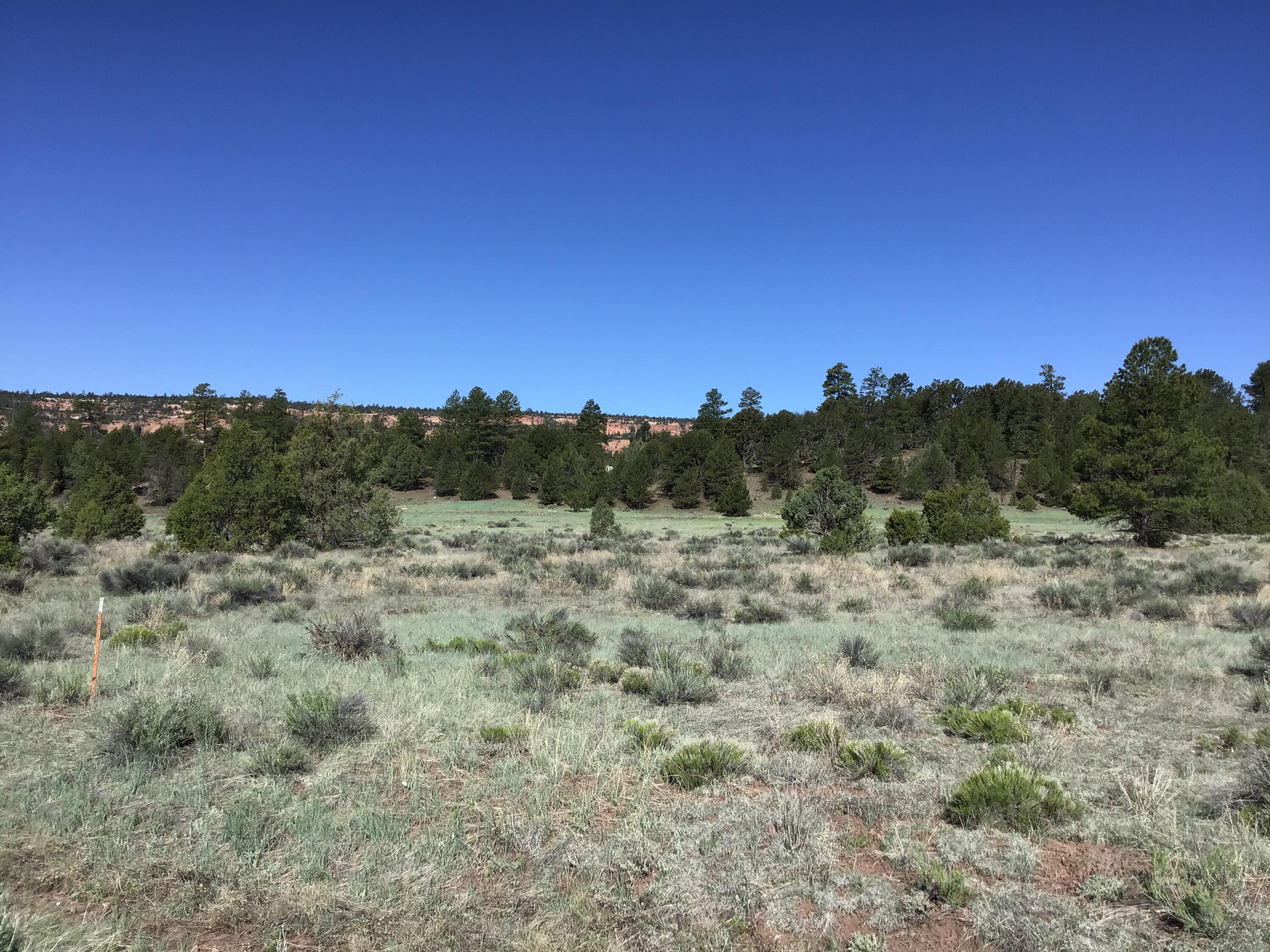 Lot 2 East Elk Road, Ramah, New Mexico image 23